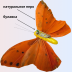 Бабочка на булавке из пера (6 цветов)
