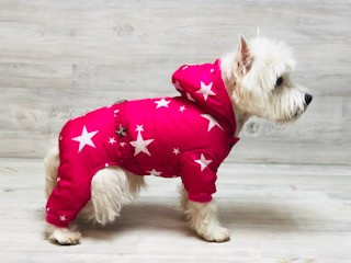 Комбинезон для собак " Звёзды ", арт.А727-2 /размер: M,L,XL,XXL/, 23-220																														