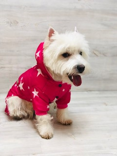 Комбинезон для собак " Звёзды ", арт.А727-2 /размер: M,L,XL,XXL/, 23-220																														