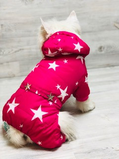 Комбинезон для собак " Звёзды ", арт.А727-2 /размер: M,L,XL,XXL/, 23-220																														